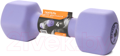 Гантель Maxiscoo Fit 4кг / MSF-LU-220723-4-PR