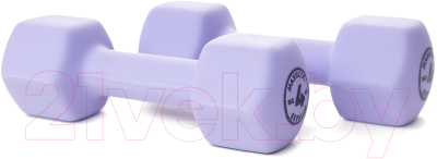 Гантель Maxiscoo Fit 4кг / MSF-LU-220723-4-PR