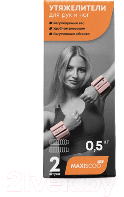 Утяжелитель Maxiscoo Fit MSF-XN-230723-205-PR