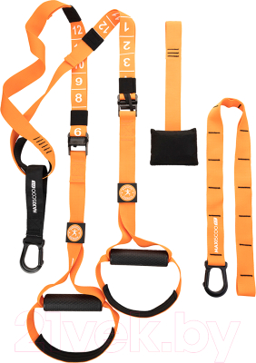 Петли TRX Maxiscoo Fit MSF-XN-260723-F - фото