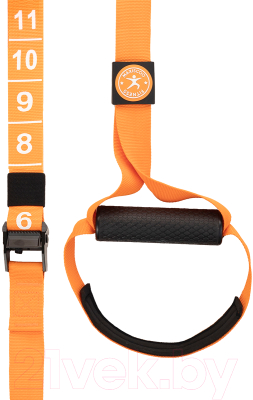 Петли TRX Maxiscoo Fit MSF-XN-260723-F