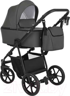 Детская универсальная коляска Pituso Tossa 2 в 1 / TS/25/4 - фото