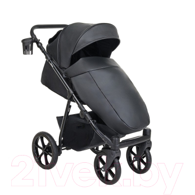 Детская универсальная коляска Pituso Tossa 2 в 1 / TS/25/4