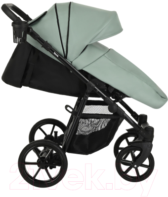 Детская универсальная коляска Pituso Tossa 2 в 1 / TS/25/2