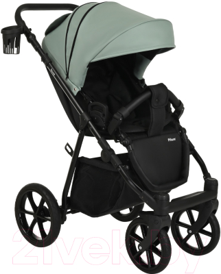 Детская универсальная коляска Pituso Tossa 2 в 1 / TS/25/2