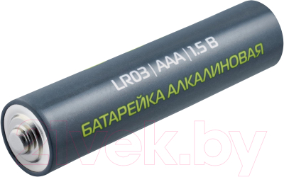 Комплект батареек Buro Alkaline LR03 AAA