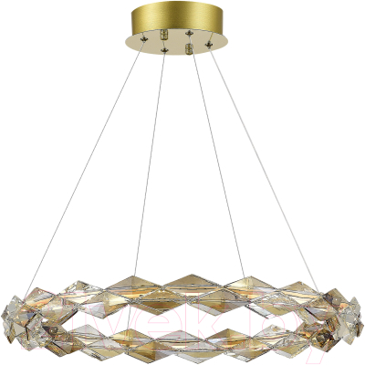 Потолочный светильник ST Luce SL6009.203.01  - фото