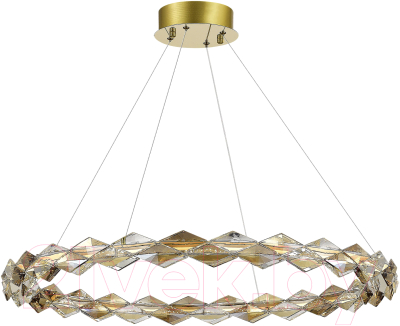 Потолочный светильник ST Luce SL6009.213.01  - фото