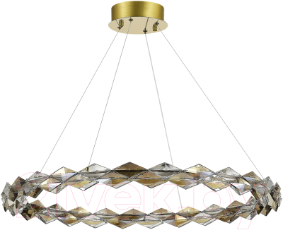 Потолочный светильник ST Luce SL6009.213.01 