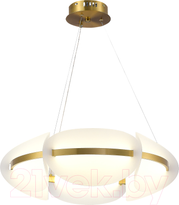 Потолочный светильник ST Luce SL1304.203.45 - фото