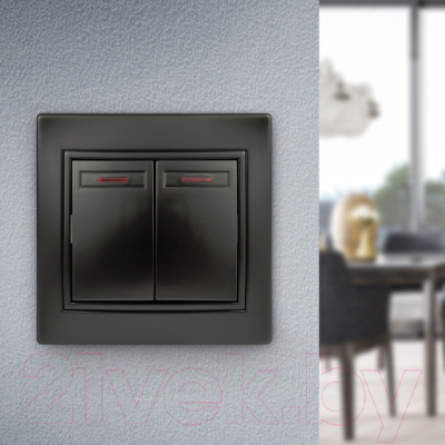 Выключатель INTRO Plano 1-105-05 / Б0053780