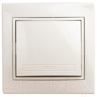 Выключатель INTRO Plano 1-108-02 / Б0053818 - фото