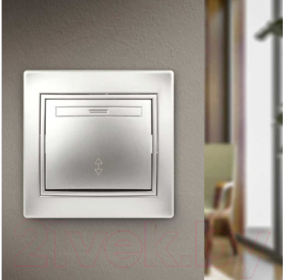 Выключатель INTRO Plano 1-103-03 / Б0053746