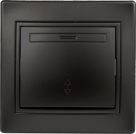 Выключатель INTRO Plano 1-103-05 / Б0053750 - фото