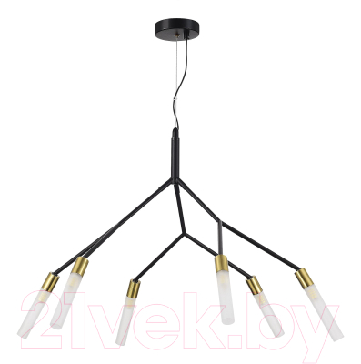 Люстра Evoluce SLE1129-403-06