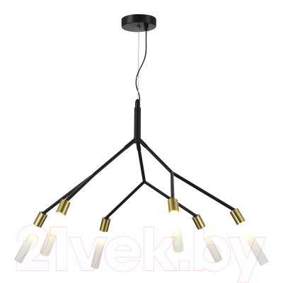 Люстра Evoluce SLE1129-403-06