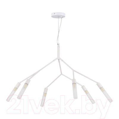 Люстра Evoluce SLE1129-503-06