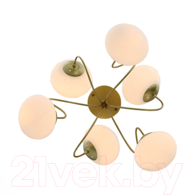 Люстра Evoluce SL717.202.06