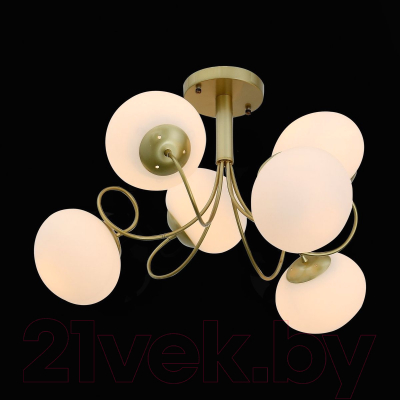 Люстра Evoluce SL717.202.06