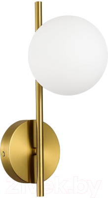 Бра Evoluce SLE1193-301-01 - фото