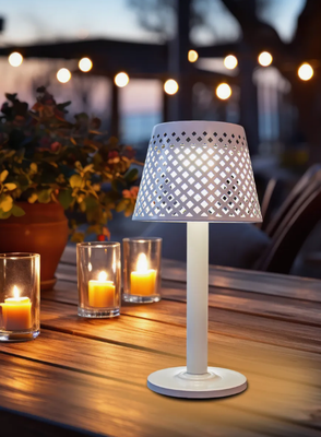 Светильник уличный Чудесный Сад 808 Скансен