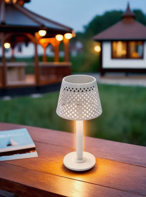 Светильник уличный Чудесный Сад 808 Скансен