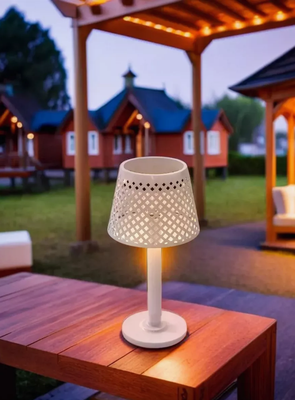 Светильник уличный Чудесный Сад 808 Скансен