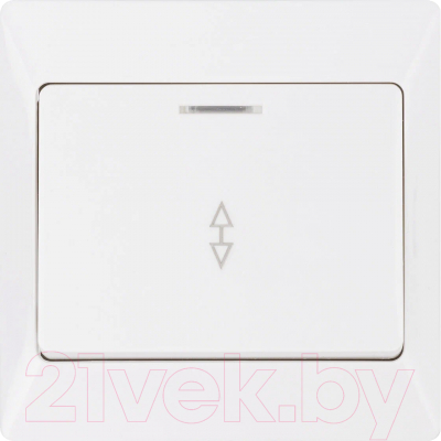 Выключатель TDM Ильмень / SQ1823-0006 - фото