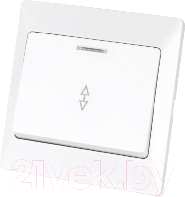 Выключатель TDM Ильмень / SQ1823-0006