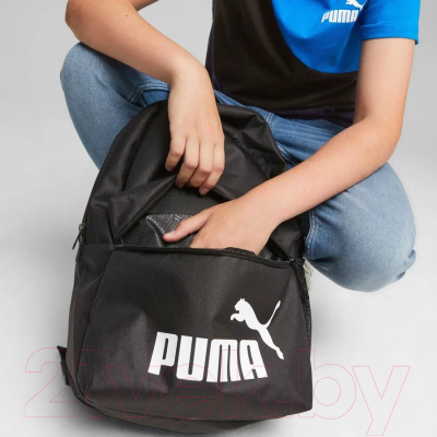 Рюкзак спортивный Puma Phase Backpack / 07994301