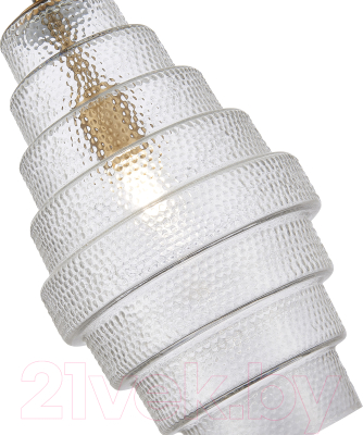 Потолочный светильник ST Luce SL1001.213.01 