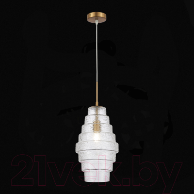 Потолочный светильник ST Luce SL1001.213.01 