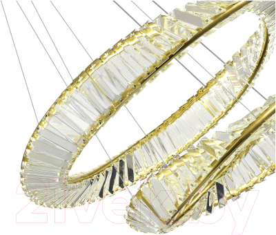 Потолочный светильник ST Luce SL6204.301.02