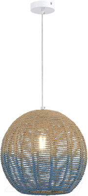 Потолочный светильник ST Luce SL1514.523.01 - фото