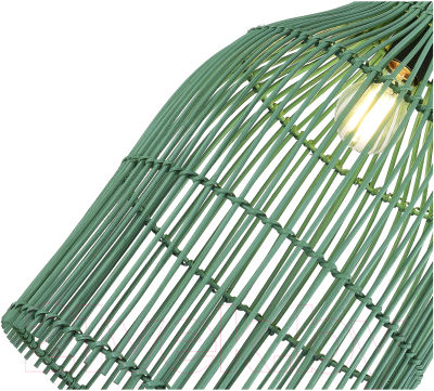 Потолочный светильник ST Luce SL1513.503.01