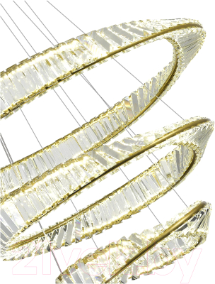 Потолочный светильник ST Luce SL6204.301.03