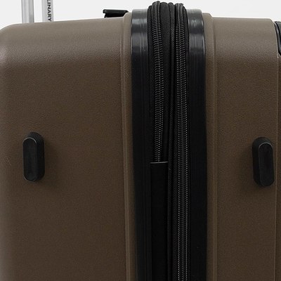 Чемодан на колесах Francesco Molinary 197-PP1906/3/24BRW