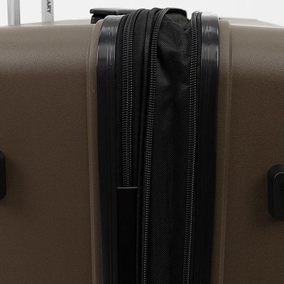 Чемодан на колесах Francesco Molinary 197-PP1906/3/24BRW