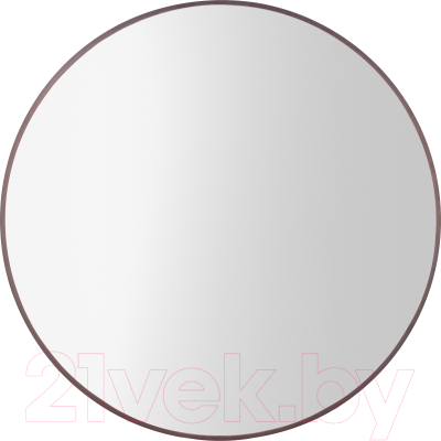 Зеркало Saniteco 1V10 100