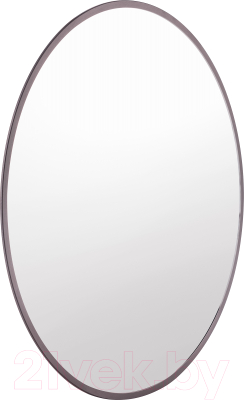 Зеркало Saniteco 1СH10 50