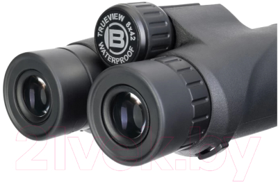 Бинокль Bresser TrueView 10x42 WP / 82060