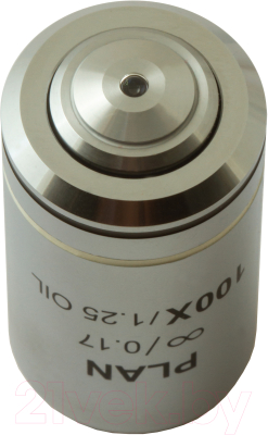 Объектив для микроскопа Levenhuk MED 100x/беск / 76079