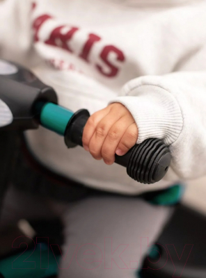 Трехколесный велосипед с ручкой Amarobaby Legend / AB23-36LG/00