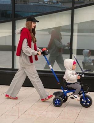 Трехколесный велосипед с ручкой Amarobaby Legend / AB23-36LG/20 (синий)