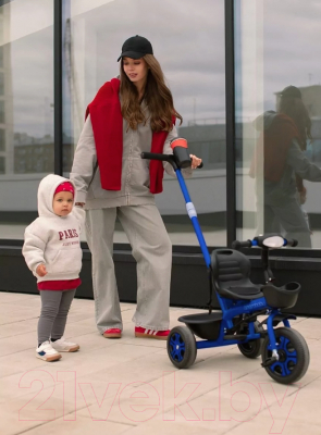 Трехколесный велосипед с ручкой Amarobaby Legend / AB23-36LG/20 (синий)