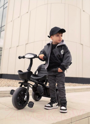 Трехколесный велосипед с ручкой Amarobaby Legend / AB22-36LG/09