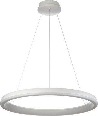 Потолочный светильник Citilux Юпитер CL730B090S