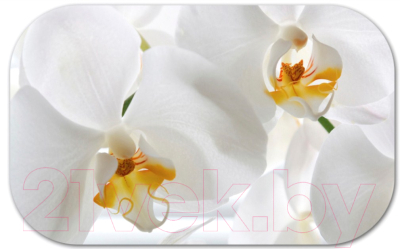 Обеденный стол Senira P-02.06-02/01-7194