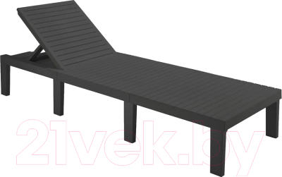 Складной шезлонг Ipae Progarden Haiti / HAI08CCA - фото