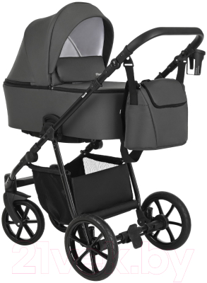 Детская универсальная коляска Pituso Tossa 2 в 1 / TS/50/04 - фото